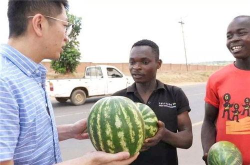 今日吃瓜黑料-海外吃瓜 娱乐圈吃瓜代号大全,海外吃瓜黑料与代号大全